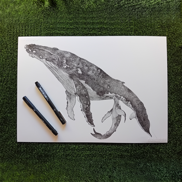 Unique wall art, whale drawing realistic. - Image 2