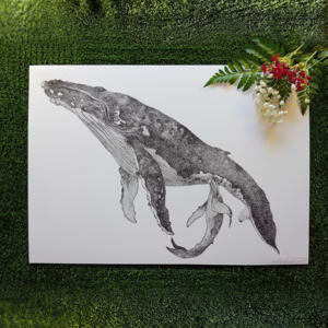 Unique wall art, whale drawing realistic.