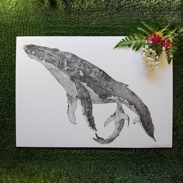 Unique wall art, whale drawing realistic.