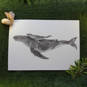 Original drawing, whale art.