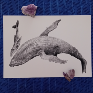 Whale with calf print.