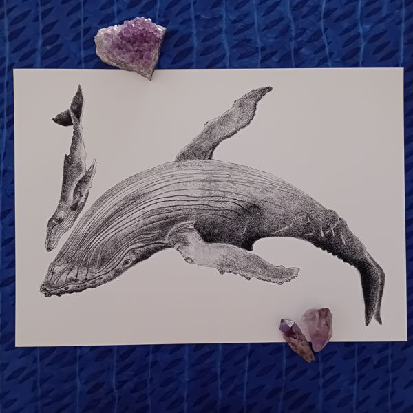 Whale with calf print.