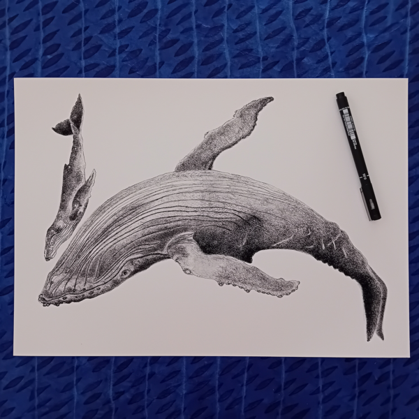 Whale with calf print. - Image 2