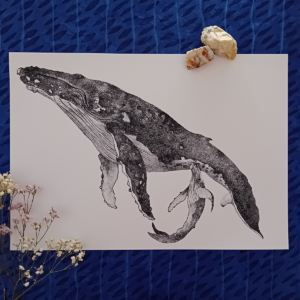 A3 print, whale wall art, giclée print.