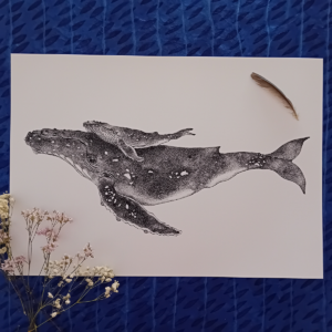 A3 print, whale art, giclée print.