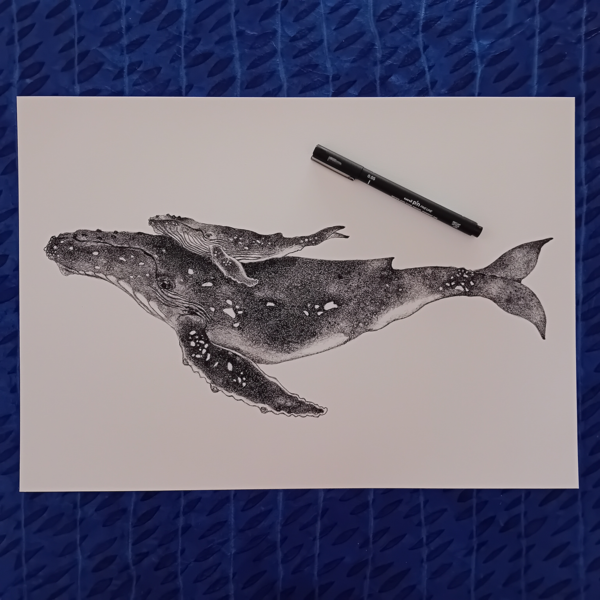 A3 print, whale art, giclée print. - Image 2