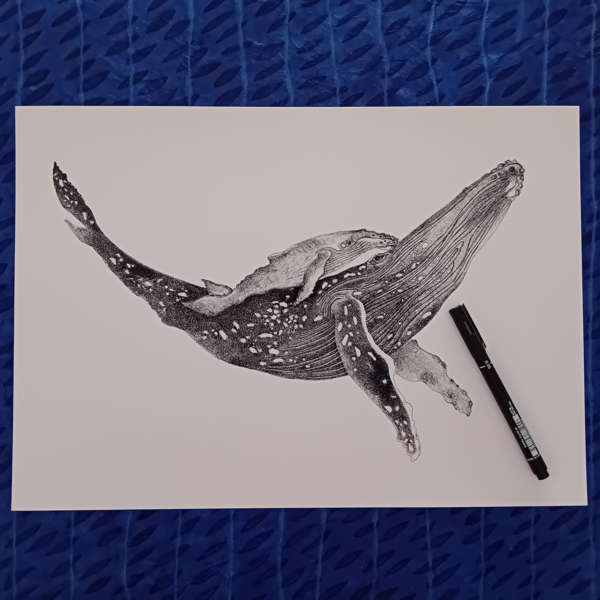 A3 print, whale art, black and white. - Image 2