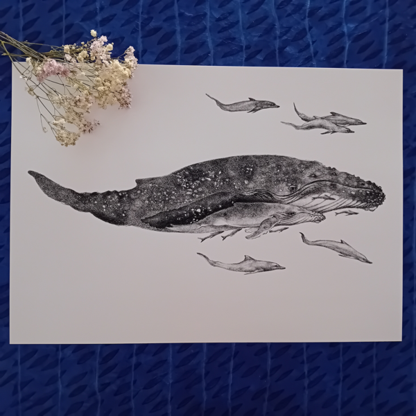 Whales and dolphins, realistic print.