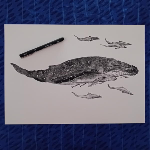Whales and dolphins, realistic print. - Image 2