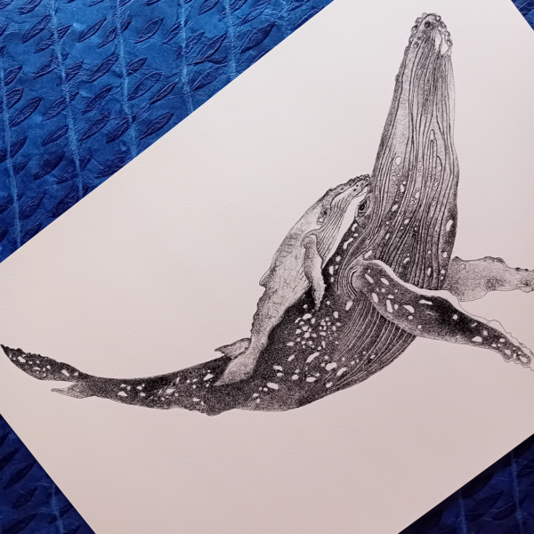 A3 print, whale art, black and white. - Image 4