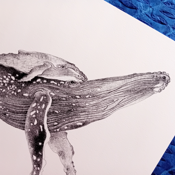 A3 print, whale art, black and white. - Image 5