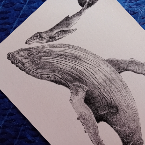 Whale with calf print. - Image 3