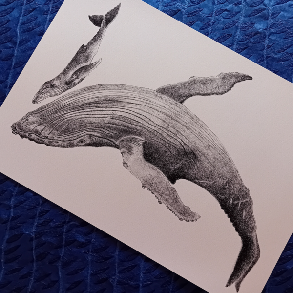 Whale with calf print. - Image 5