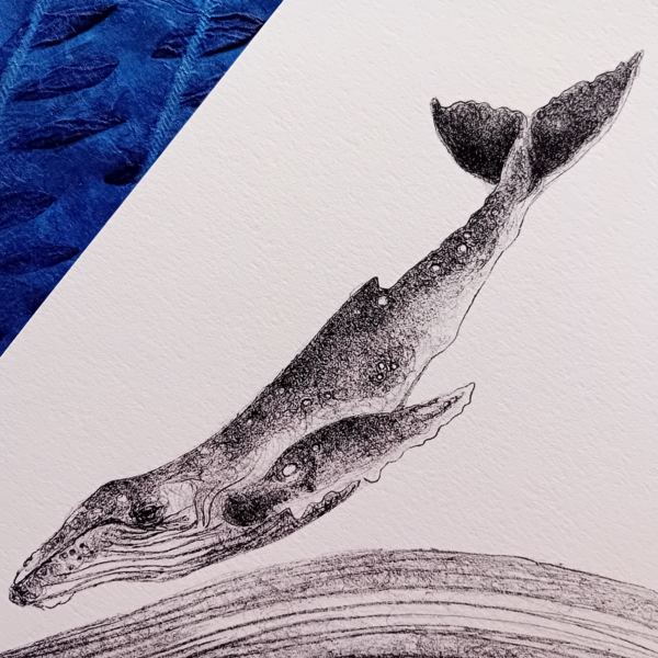 Whale with calf print. - Image 6