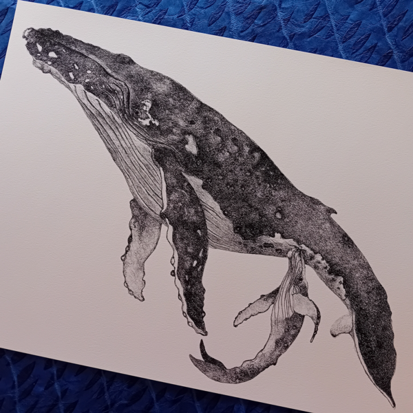 A3 print, whale wall art, giclée print. - Image 2