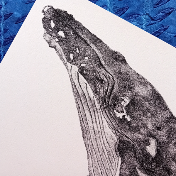 A3 print, whale wall art, giclée print. - Image 4