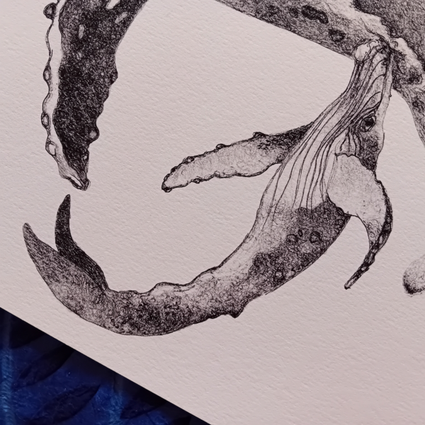 A3 print, whale wall art, giclée print. - Image 3
