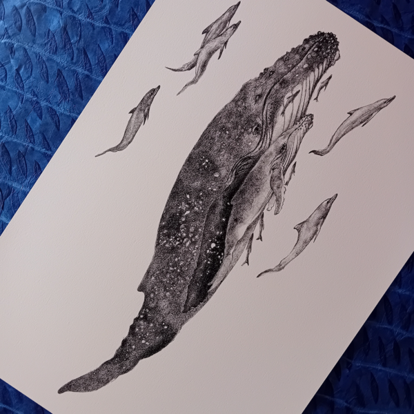 Whales and dolphins, realistic print. - Image 3