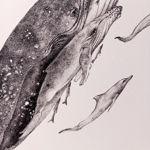 Whales and dolphins, realistic print. - Image 4