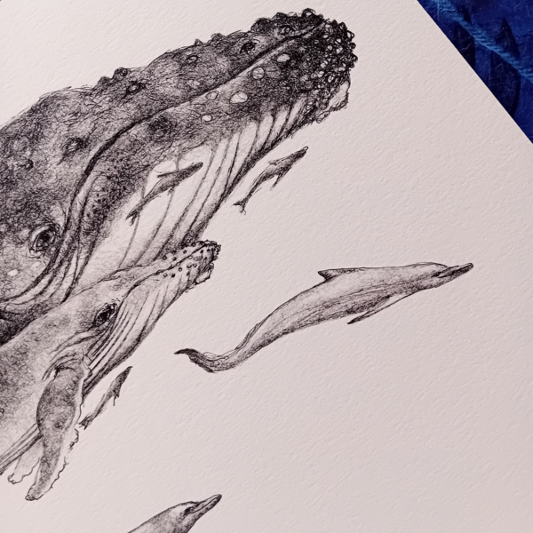 Whales and dolphins, realistic print. - Image 5