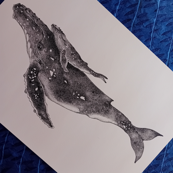 A3 print, whale art, giclée print. - Image 3