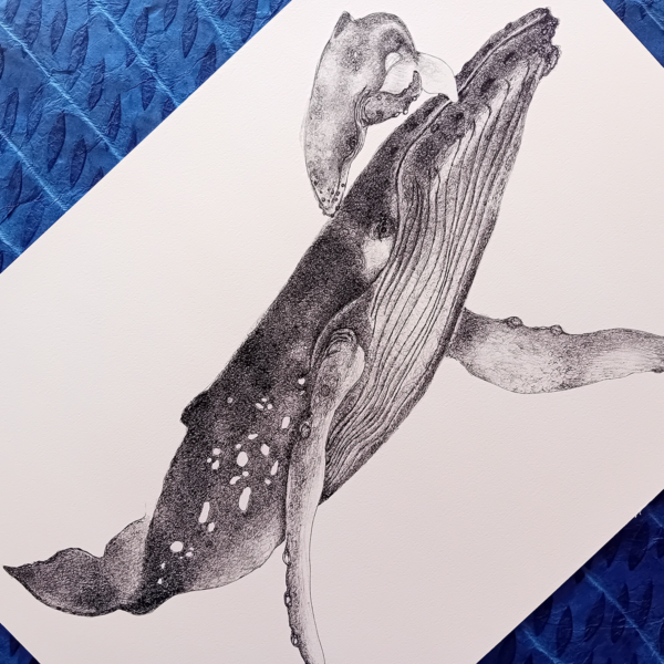 Whale A3 print, realistic drawing. - Image 6