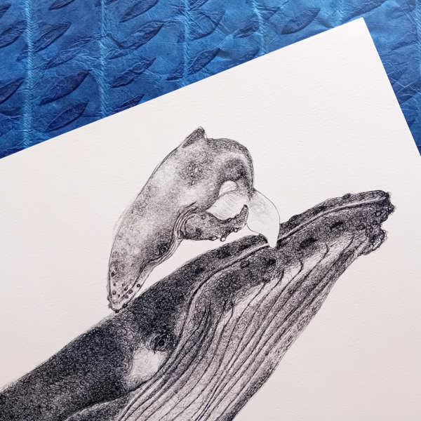 Whale A3 print, realistic drawing. - Image 5