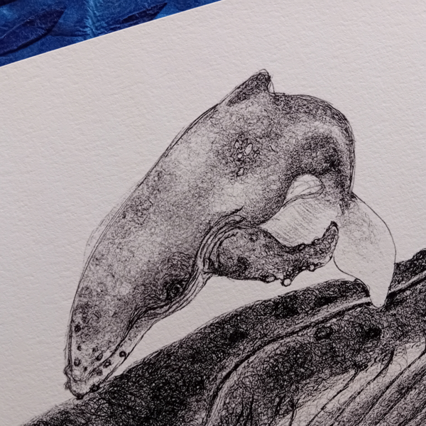 Whale A3 print, realistic drawing. - Image 4