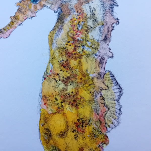 Seahorse watercolor, original drawing. - Image 2