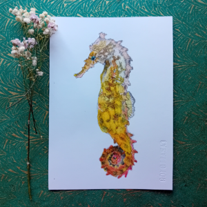 Seahorse watercolor, original drawing.