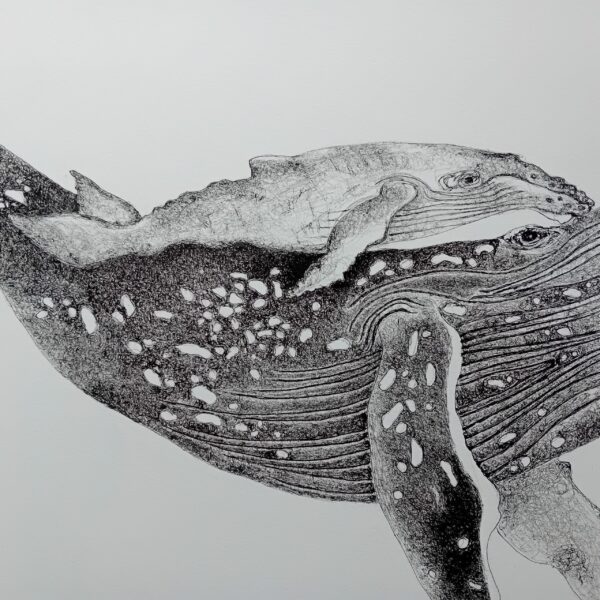 Original drawing, whale art. - Image 7