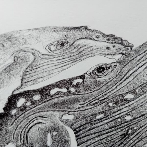 Original drawing, whale art. - Image 9