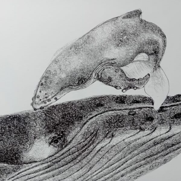 Whale with calf original drawing. - Image 7