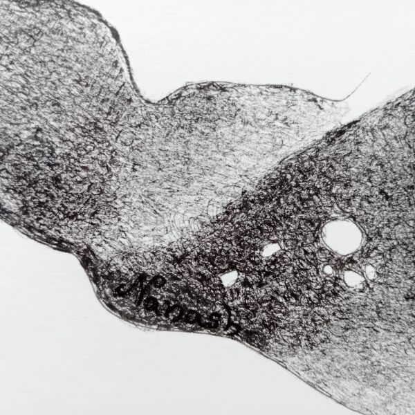 Whale with calf original drawing. - Image 8