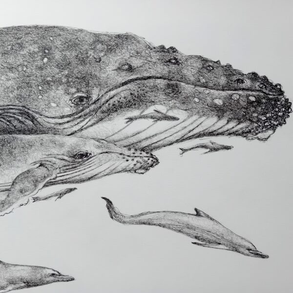 Whale wall art, ink drawing. - Image 7