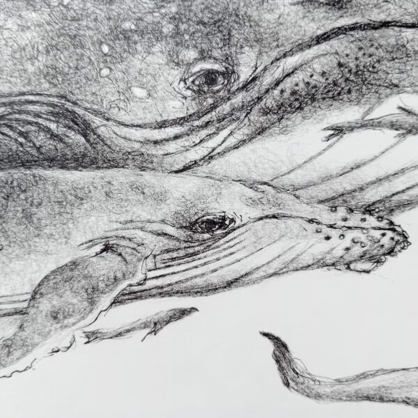 Whale wall art, ink drawing. - Image 8