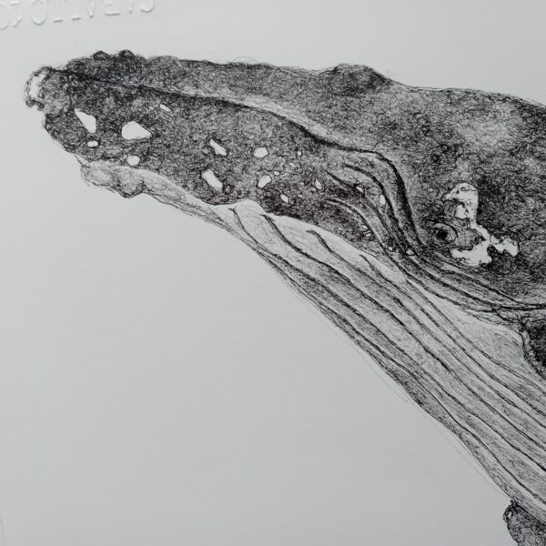 Unique wall art, whale drawing realistic. - Image 7
