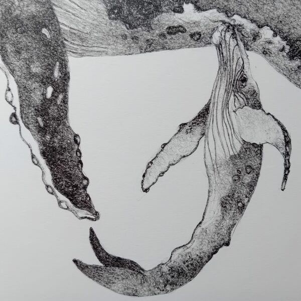 Unique wall art, whale drawing realistic. - Image 8