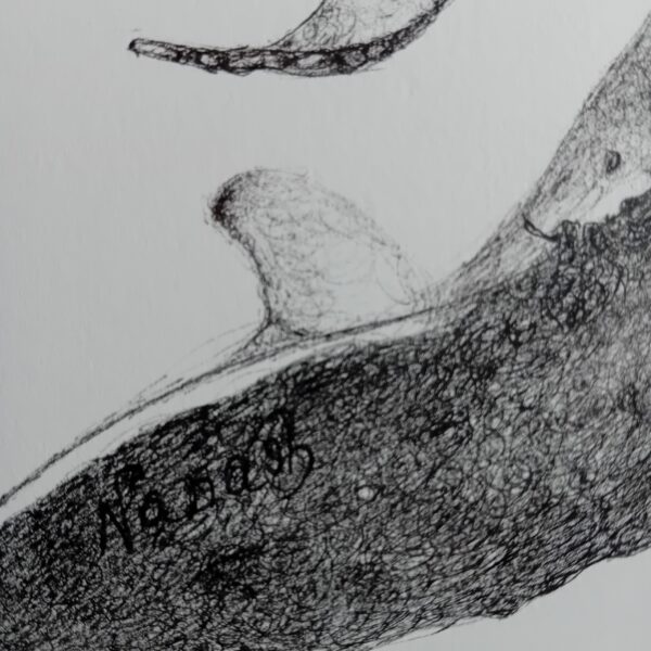 Unique wall art, whale drawing realistic. - Image 10