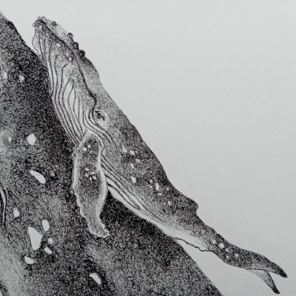 Original drawing, whale art. - Image 7