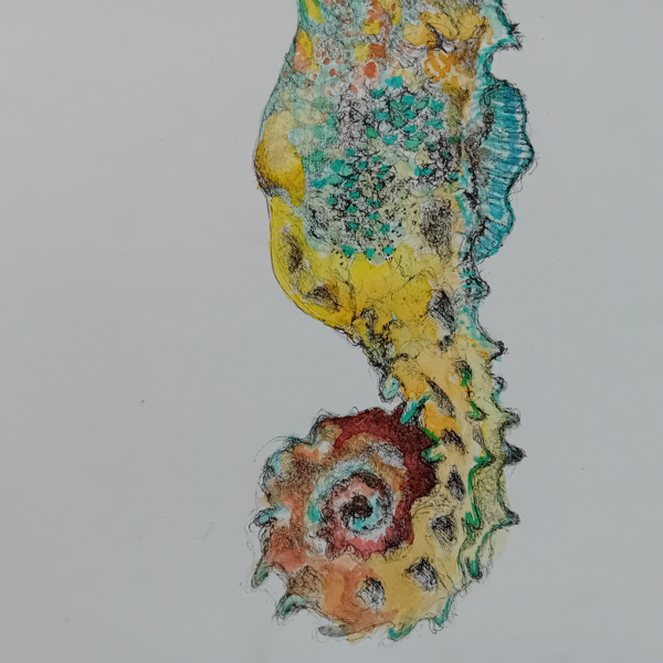 Seahorse Watercolor Handmade Drawing - Image 4