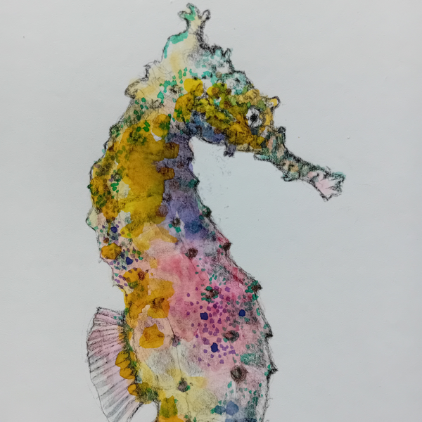 Rainbow seahorse watercolor, A5 original. - Image 3