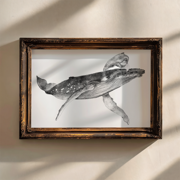 Whale with calf original drawing. - Image 3