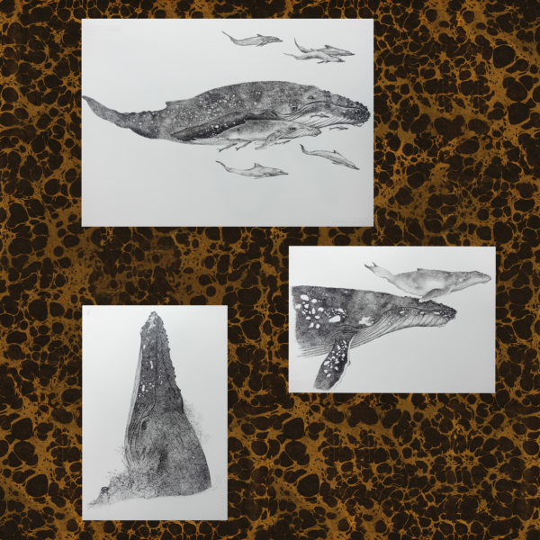 Print On Demand Service. - Image 2