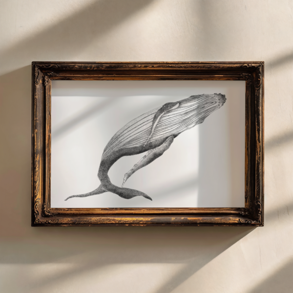 A3 whale art, black and white drawing. - Image 4