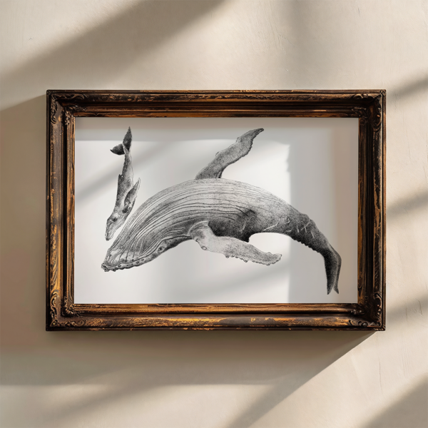 Original drawing, whale wall art. - Image 3