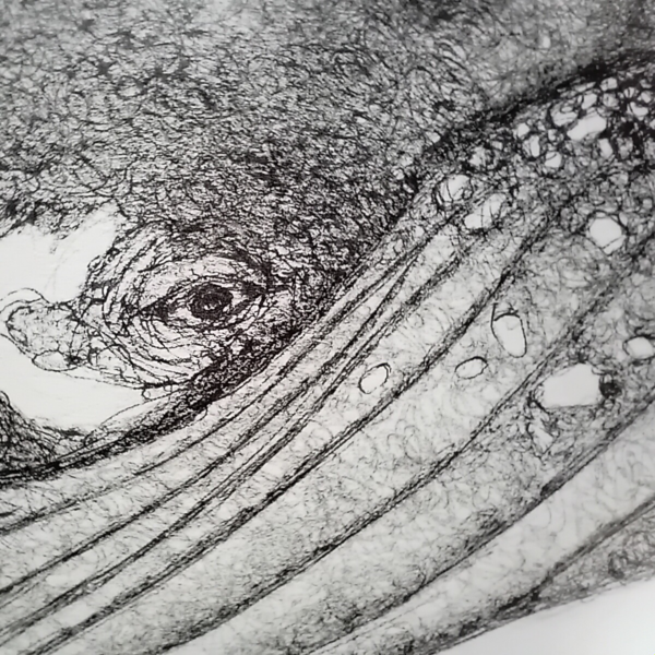 One-of-a-kind home decor, whale wall art. - Image 8