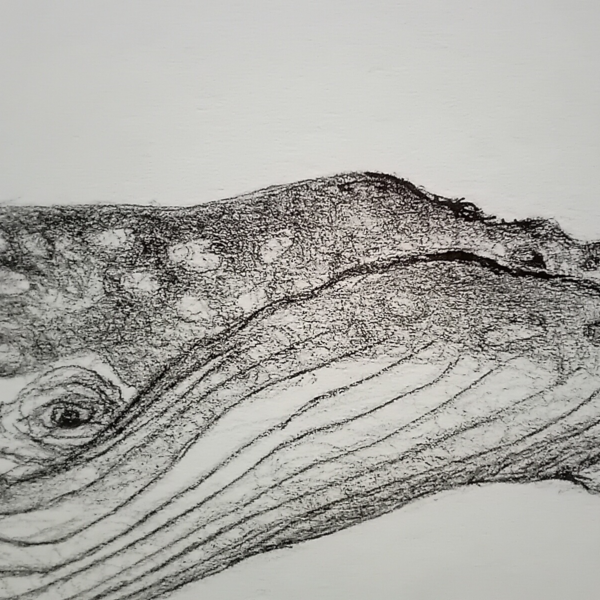 One-of-a-kind home decor, whale wall art. - Image 9