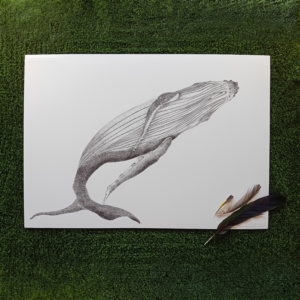 A3 whale art, black and white drawing.