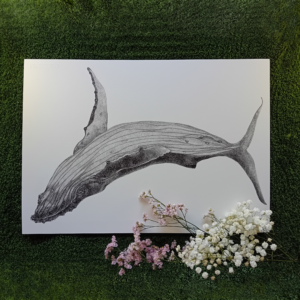 Original drawing, whale art.